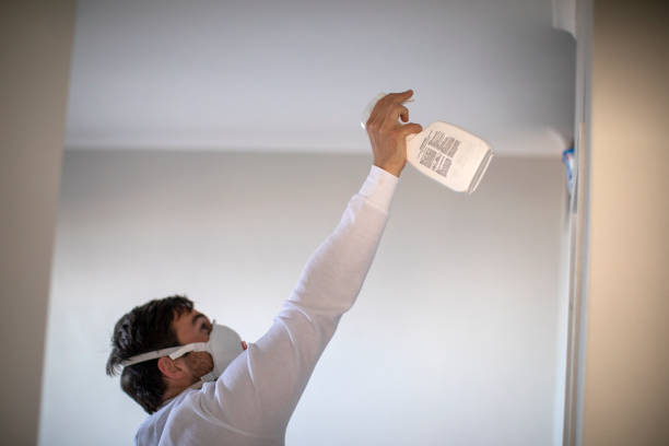 Best DIY Mold Remediation Support Services in Parchment, MI